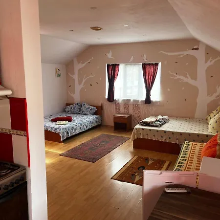 Casa De Vacanta Amy * Două Mai