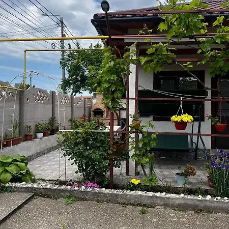 Penzion Casa De Vacanta Amy